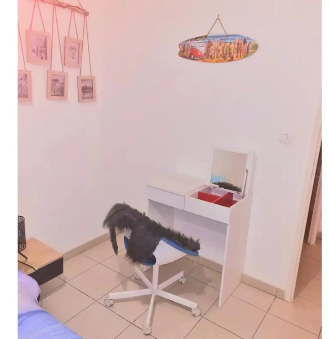Apartmán Escale Marine Saint-Jory 0*,  Francie